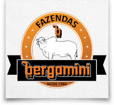 BERGAMINI