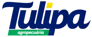 tulipa
